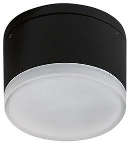 AZ4333 APULIA BK Modern Kültéri Mennyezeti Lámpa Fekete LED IP54