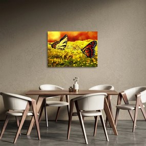 Pillangó képe (üvegen) (70x50 cm)