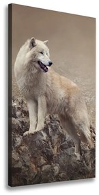 Vászonkép Wolf egy szikla ocv-60381309