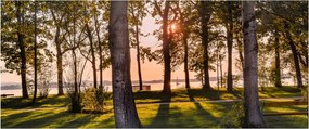 Fák a tó mellett képe (120x50 cm)