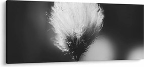 Kép - Fekete-fehér pamutfű (120x50 cm)