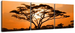 Gario Vászonkép Gyönyöru afrikai táj - 3 részes Méret: 90 x 30 cm