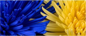Kép - virág részlet (120x50 cm)