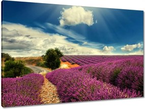 Vászonkép 90x60 Levendula tájkép