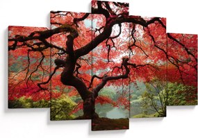 Red Japanese Maple, Portland, Oregon képe (150x105 cm)