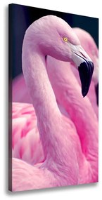 Vászonkép Flamingók ocv-73127657