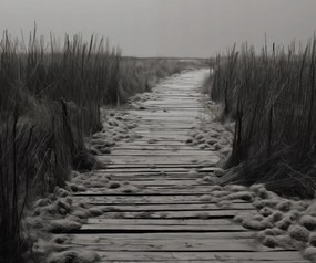 Poszter 60x50cm A csend ösvénye Dűnék