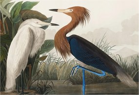 Fotótapéta Flizelin Fal a Hálószobába Madarak a növényekben 152x104 Ragasztó