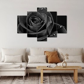 Kép - Bíborvörös rózsa (150x105 cm)