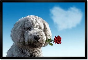 Poszterek keretben 60x40 Szerelmes korcs szerelem