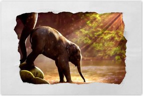 Poszterek 60x40 Anya csak egy van