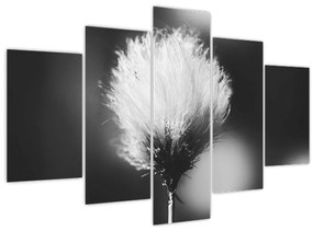 Kép - Fekete-fehér pamutfű (150x105 cm)