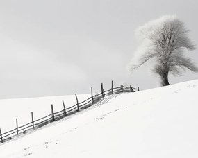 Poszter 50x40cm Magány a tél a kerítésnél