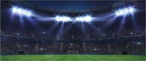 Kép - Labdarúgó stadion (120x50 cm)