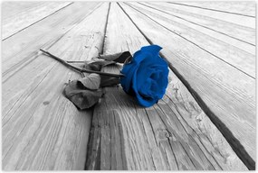 Poszterek 120x80 Kék rózsa a deszkákon