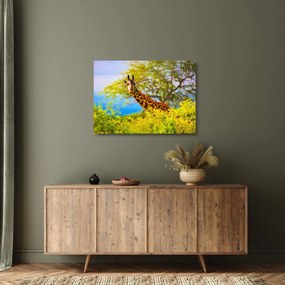 Egy kép egy zsiráfról Afrikában (üvegen) (70x50 cm)
