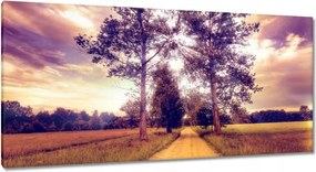Festmények 115x55 Fák az út mellett