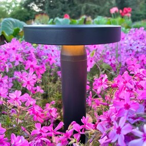 Zuma Line DT33611 - CARLI LED napelemes lámpa 2W, 2000 mAh, IP44 fekete