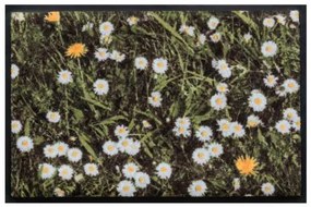 Virágok és levelek prémium lábtörlő - margaréta (Válassz méretet: 100*70)