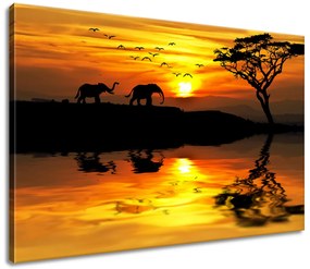 Gario Vászonkép Afrika Méret: 100 x 40 cm