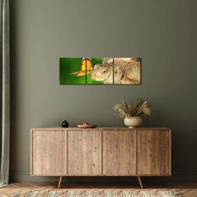 Kép - Gyík (órával) (90x30 cm)