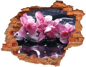 Lyuk 3d fali matrica Rózsaszín orchidea nd-c-28903356