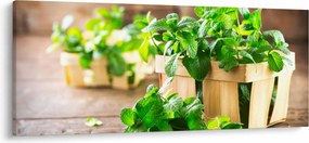 Friss menta képe (120x50 cm)