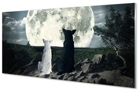 Akrilkép Wolves hold erdő 100x50 cm