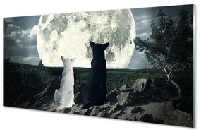 Akrilkép Wolves hold erdő 120x60 cm 2 fogas