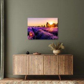 A levendula mező képe, Provence (üvegen) (70x50 cm)