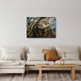 Kép - Piton (üvegen) (70x50 cm)