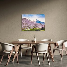 Üveg kép - Japán tavasszal (70x50 cm)