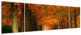 Kép - utazás, keresztül, erdő, ősszel (170x50cm)