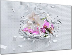 Festmények 120x80 Orchidea a falban