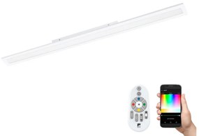 Eglo Eglo 98089 - LED RGBW Dimmelhető panel SALOBRENA-C LED/34W/230V + távirányító EG98089