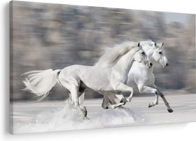 Kép - Fehér lovak télen (90x60 cm)