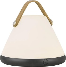 NORDLUX 46195001 STRAP Kültéri Dekorációs Lámpa LED IP54