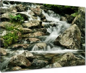 Vászonkép 80x60 Tátrai patak