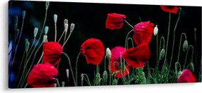 Kép - Pipacsok tánca (120x50 cm)