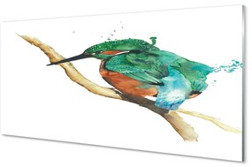 Üvegképek Színes festett papagáj 100x50 cm