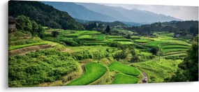 Rizsmező képe (120x50 cm)