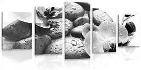 5-részes kép virágok és kövek fekete fehérben