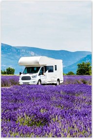 Poszterek 60x90 Lakókocsi a levendulamezők között