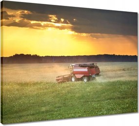 Vászonkép 50x40 Kombájn kaszálja az arany gabonát