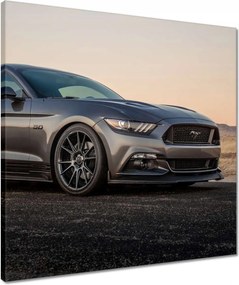 Vászonkép 50x50 Ford Mustang made in Usa