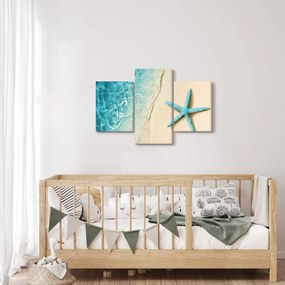 Kép - Tengeri csillag a tengerparton (90x60 cm)