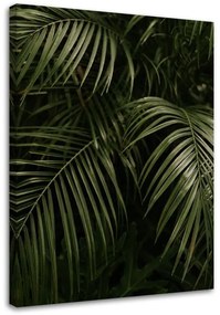 Gario Vászonkép Zöld pálmalevelek Méret: 40 x 60 cm