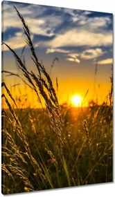 Vászonkép 60x90 Naplemente a füvek között