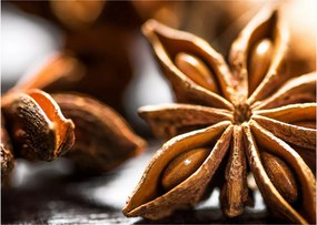 Üveg kép - Anise (70x50 cm)