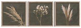 Kép szett 3 db-os 30x30 cm Pampas – Styler
